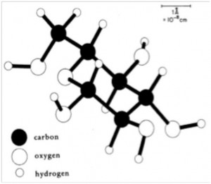 Sugar Molecule